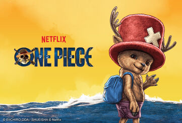 One Piece / [object Object] / Zobacz teraz!