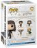 Harry Potter and the Chamber of Secrets - Hermione vinyl figurine no. 150
