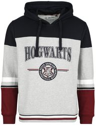 Hogwarts - Made in England, Harry Potter, Bluza z kapturem