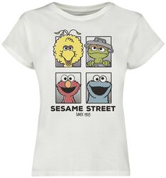 Friends, Ulica Sezamkowa, T-Shirt
