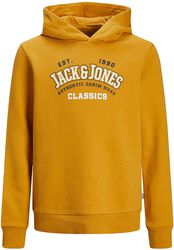 Logo Hooded Jumper, Jack & Jones Junior, Bluza z kapturem