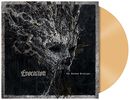 The shadow archetype, Evocation, LP