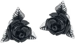 Black Rose Ear Studs, Alchemy Gothic, Komplet kolczyków