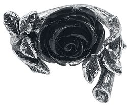 Wild Black Rose Ring, Alchemy Gothic, Pierścień