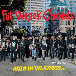 Mild in the streets: Fat music unplugged, V.A., CD