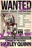 Harley Quinn - Wanted, Suicide Squad, Plakat
