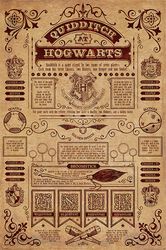 Quidditch at Hogwarts, Harry Potter, Plakat