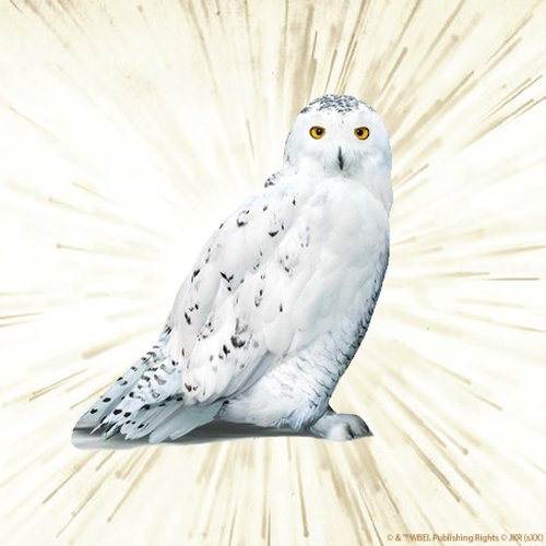 Hedwiga