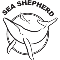 Certyfikat ekologiczny